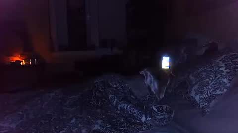 Amber White online show from 10.29.25