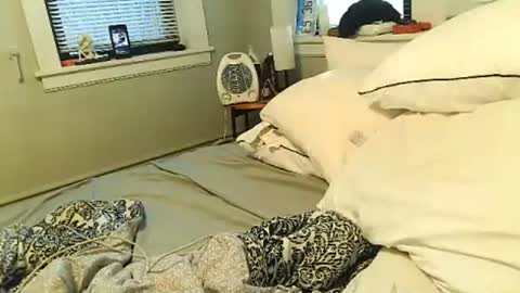 Amber White online show from 02.01.26