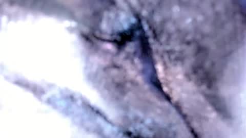 Snapshot of tshotfuckingyanzxx chatting on 02.12.25 Stella Hanlon - - online show from 02.12.25