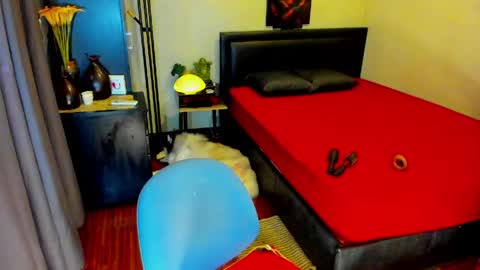 Kylee-  will make your  day  online show from 05.13.26