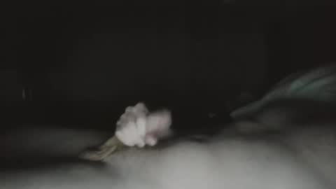 Snapshot of tucker9810 chatting on 03.23.26 tucker 28 m online show from 03.23.26