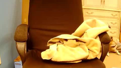 Turnmetrans online show from 03.17.26