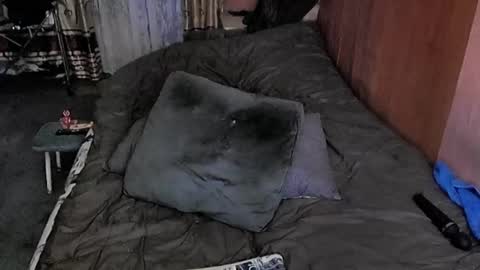 Snapshot of tviks chatting on 03.06.25 Lana online show from 03.06.25