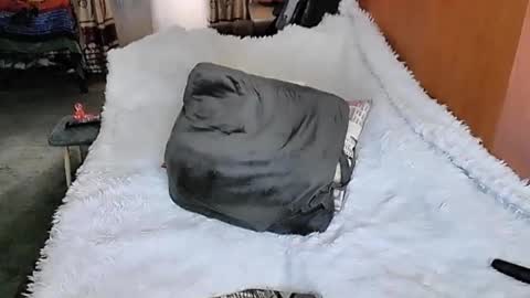 Snapshot of tviks chatting on 03.11.25 Lana online show from 03.11.25