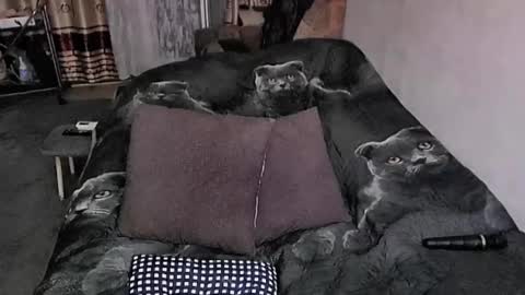 Snapshot of tviks chatting on 10.23.25 Lana online show from 10.23.25