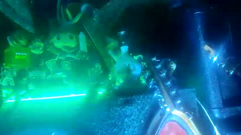 twe4kseeker online show from 10.20.25