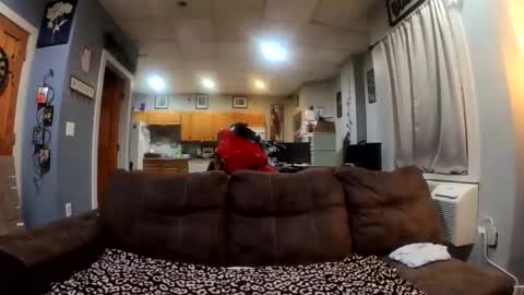 twicethetease2 online show from 02.08.26