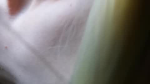 Snapshot of twinkboy2019 chatting on 03.07.25 Vicky Victor online show from 03.07.25