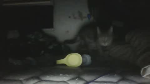 Snapshot of twonkydonk27 chatting on 12.13.25 twonkydonk27 online show from 12.13.25