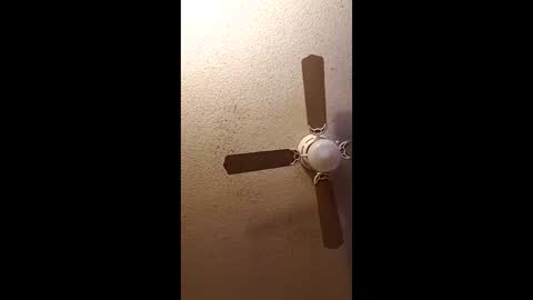 twosometeasesdarksexualkingdom online show from 02.27.26