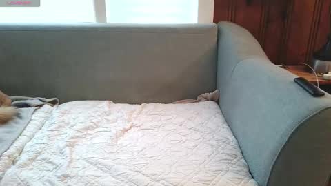 Snapshot of tylersands chatting on 12.16.25 Tyler Sands online show from 12.16.25