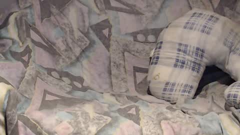 Snapshot of tyson2525 chatting on 02.02.25 Helena and Tyson online show from 02.02.25