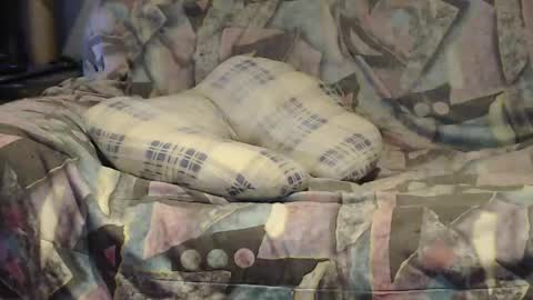 Helena and Tyson online show from 04.25.26