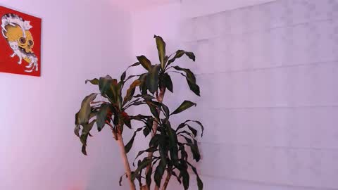 Martina online show from 10.11.25