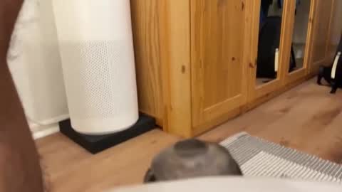 Umberto2015 online show from 12.04.24