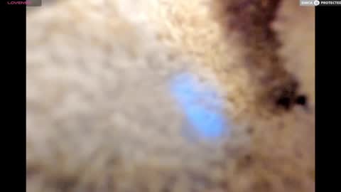 Snapshot of urnewdaddy90 chatting on 01.17.25 Big Daddy online show from 01.17.25