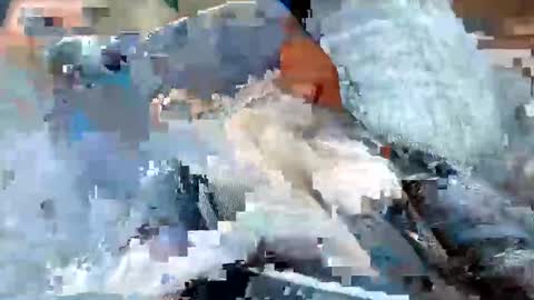 usabound online show from 10.16.25