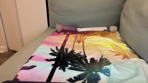 Snapshot of usedingoodcondition chatting on 12.16.24 Lily online show from 12.16.24