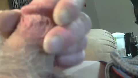 Snapshot of usmcmark63 chatting on 02.19.25 lookin for free fun online show from 02.19.25