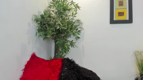 Snapshot of valeri_tafur chatting on 11.12.25 valeri_tafur online show from 11.12.25