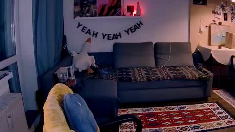 Snapshot of valorant_girl chatting on 01.17.26 Little Devil online show from 01.17.26