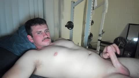 Vandal2021 online show from 03.08.25