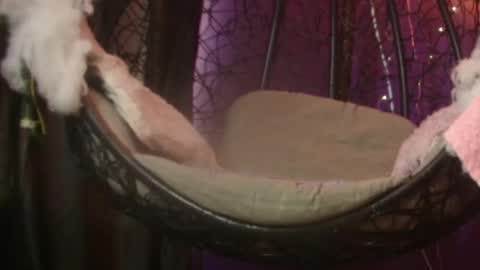 Snapshot of vanelope11 chatting on 11.28.25 Vanelope online show from 11.28.25