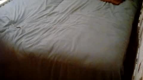 Snapshot of vankmen69 chatting on 10.25.25 Usagi online show from 10.25.25