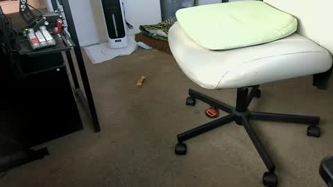 Snapshot of vegasnightowl chatting on 10.07.25 vegasnightowl online show from 10.07.25