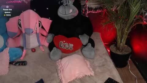 eva online show from 01.11.26