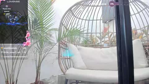 VENUS online show from 01.05.26