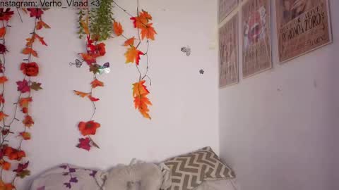 Snapshot of verho_vlaad chatting on 10.29.25 Verho online show from 10.29.25