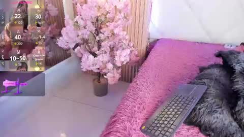 veronica_hill_ online show from 06.24.26