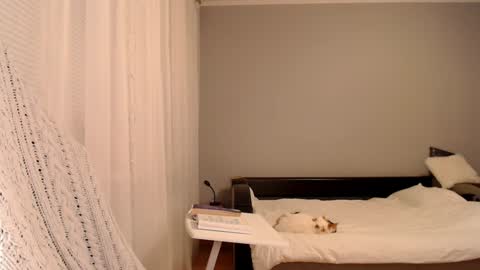 Amelia online show from 02.05.25