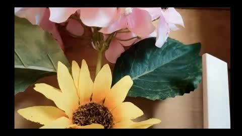 vickyvalencia2 online show from 05.04.26
