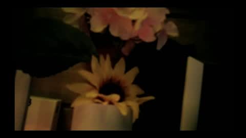 vickyvalencia2 online show from 05.05.26