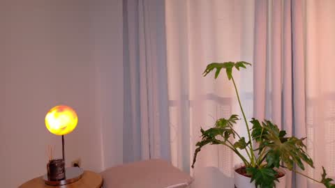 VictoriaNova online show from 07.14.26