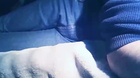 vicvictoree online show from 02.01.26