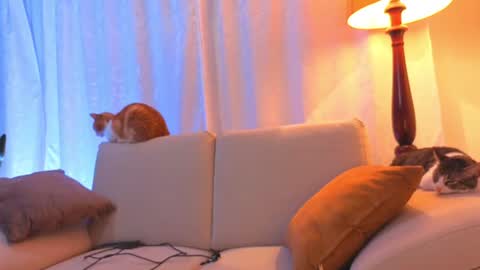 Snapshot of viiolet_collins chatting on 06.15.26 VIOLET online show from 06.15.26