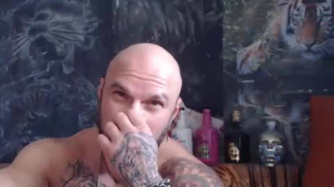 viking online show from 11.12.25