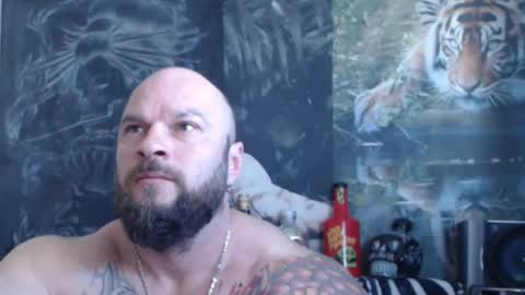 viking online show from 04.26.26