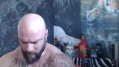 viking online show from 04.28.26