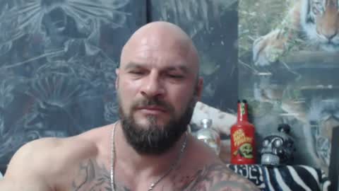 viking online show from 06.11.26
