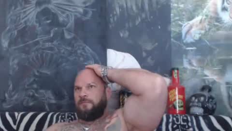 viking online show from 06.16.26