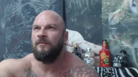 viking online show from 06.16.26