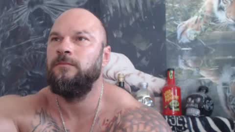 viking online show from 06.24.26