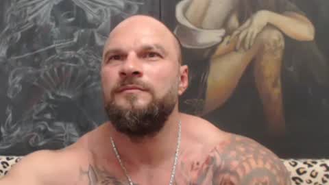 viking online show from 06.24.26