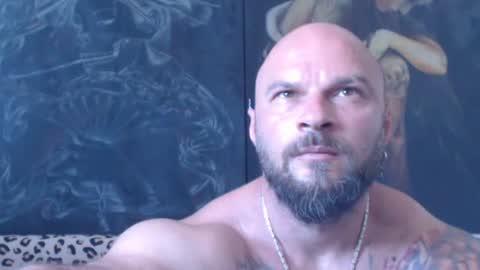 viking online show from 06.28.26