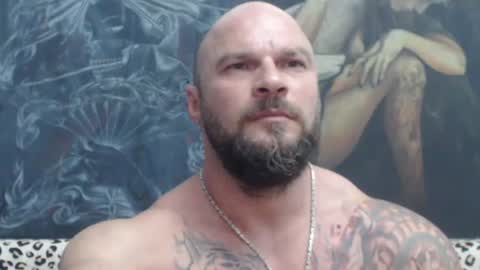 viking online show from 06.30.26