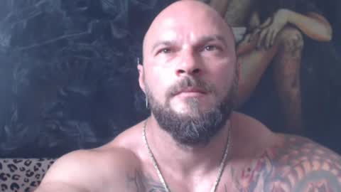 viking online show from 07.01.26